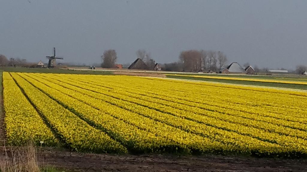 Ferienwohnung Vredehof Sint Maartensbrug Exterior foto
